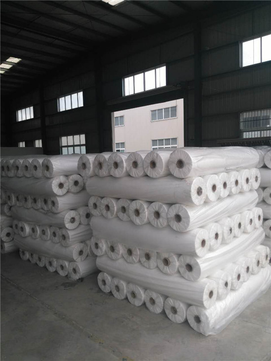 武漢無(wú)紡布淋膜生產(chǎn)車間